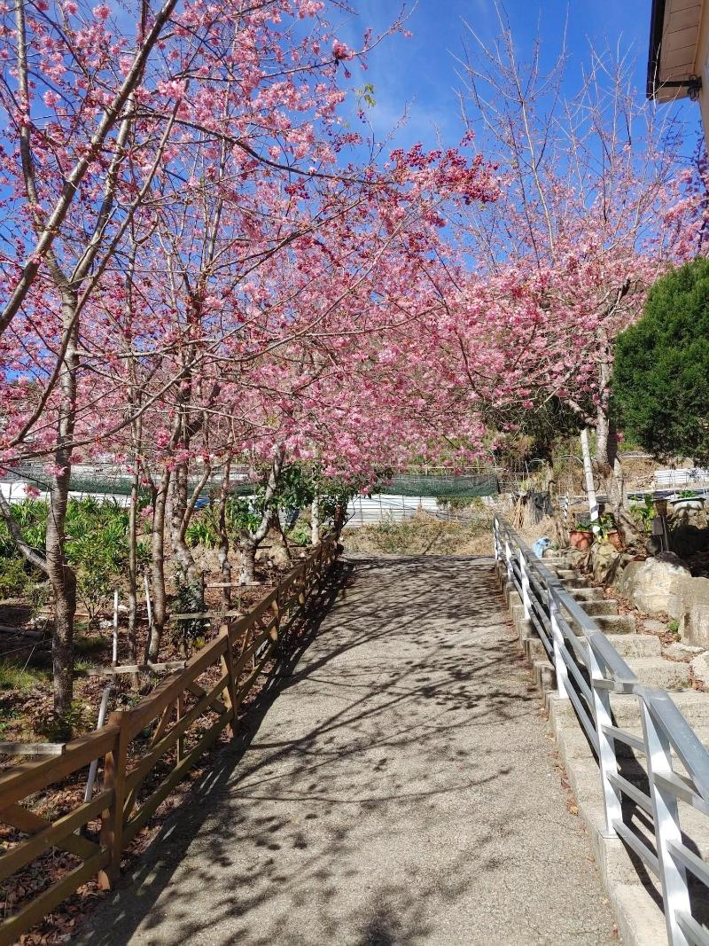 Chingjing New Paradise B&b