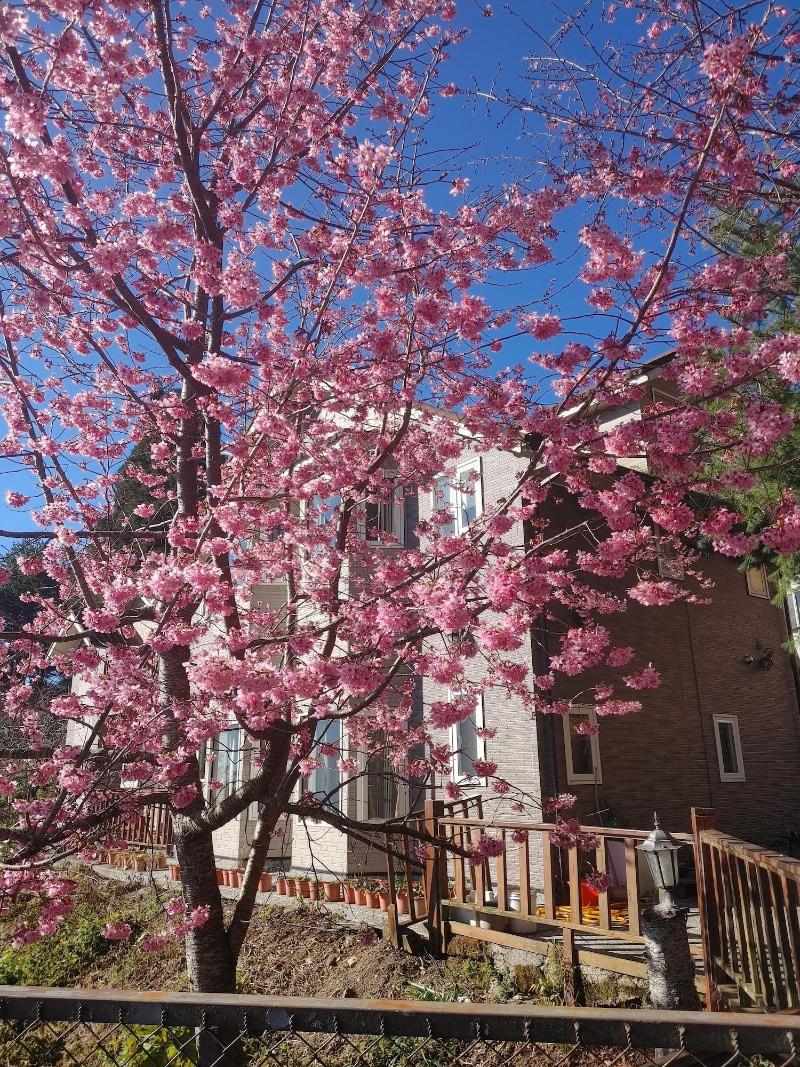Chingjing New Paradise B&b