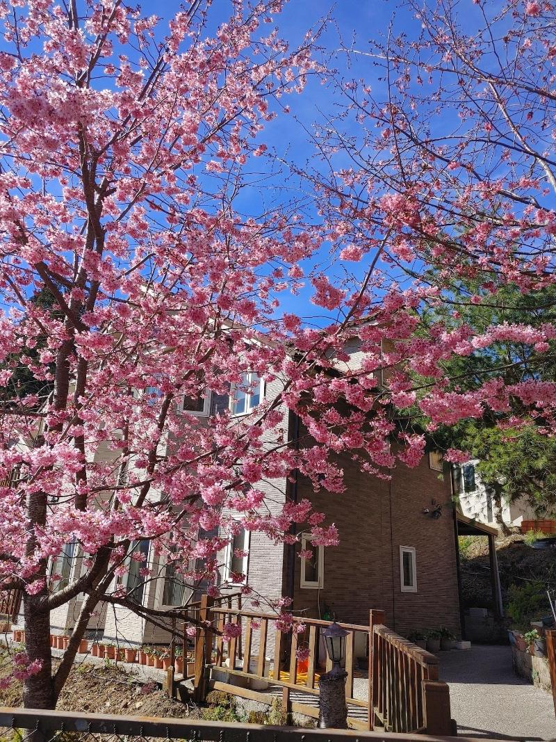 Chingjing New Paradise B&b