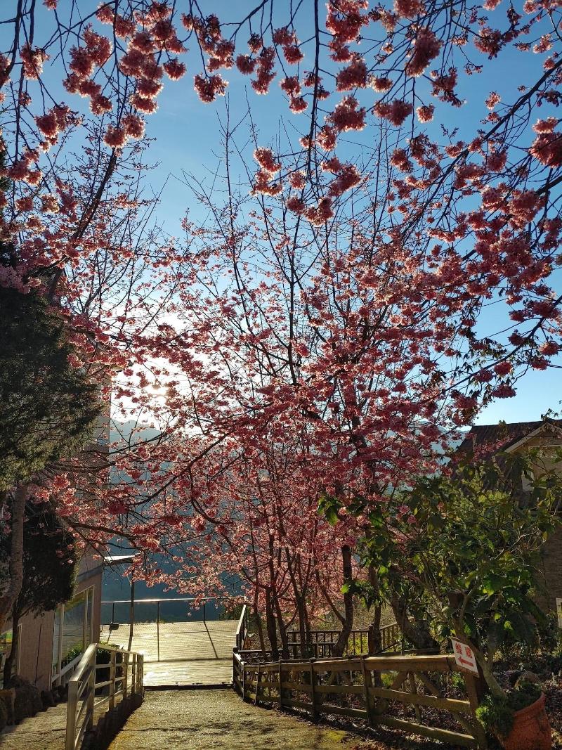 Chingjing New Paradise B&b