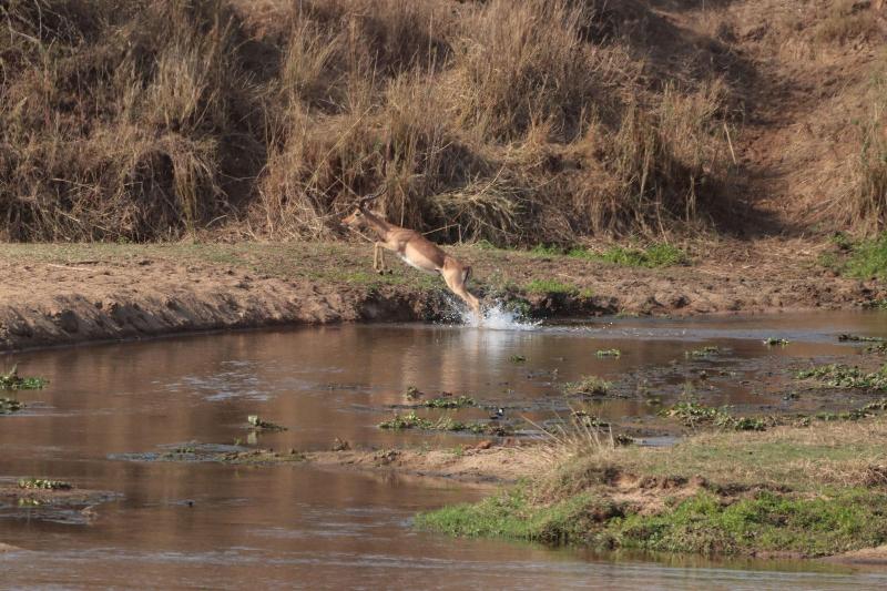 Doringpoort Safari Lodge image