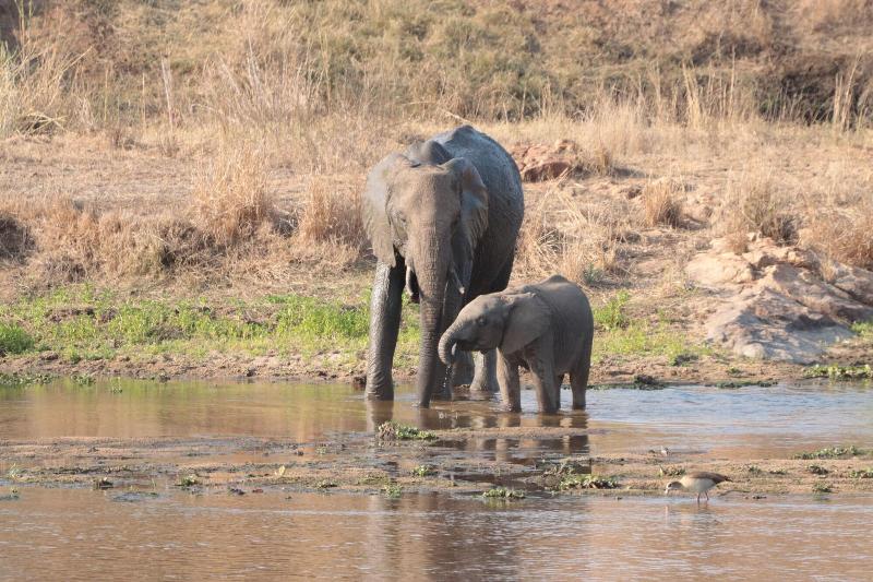 Doringpoort Safari Lodge image