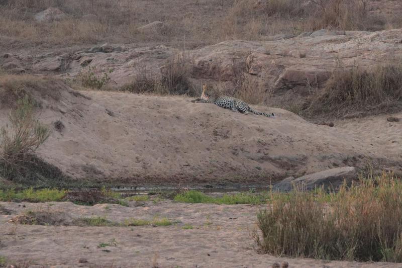Doringpoort Safari Lodge image