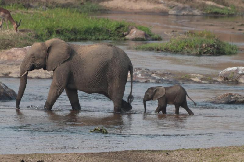 Doringpoort Safari Lodge image