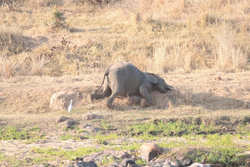 Doringpoort Safari Lodge image