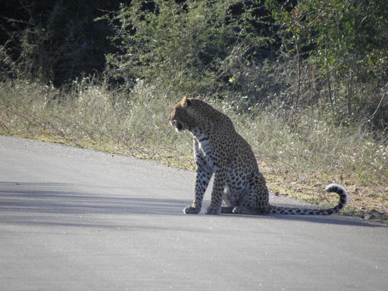Doringpoort Safari Lodge image