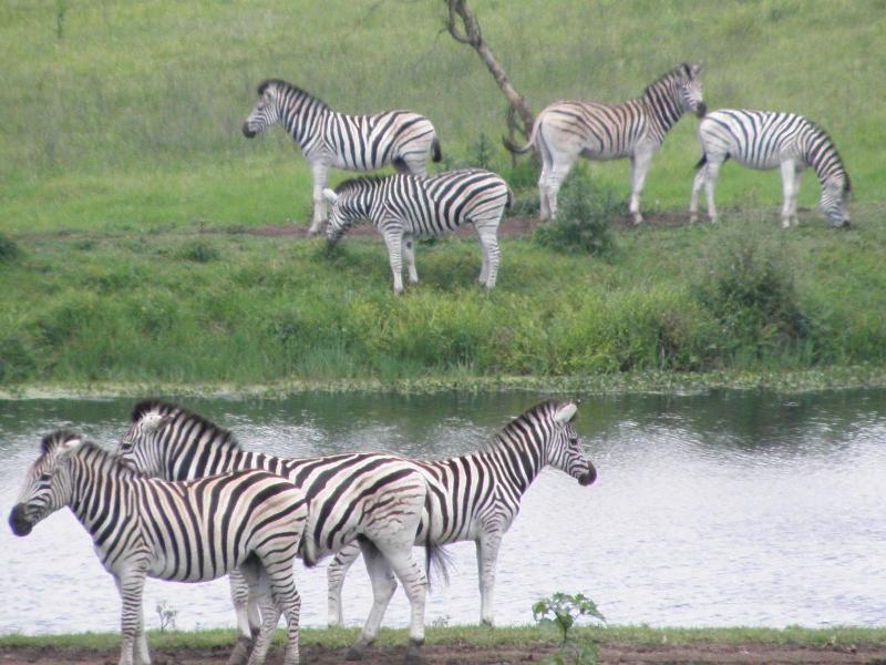 Doringpoort Safari Lodge image