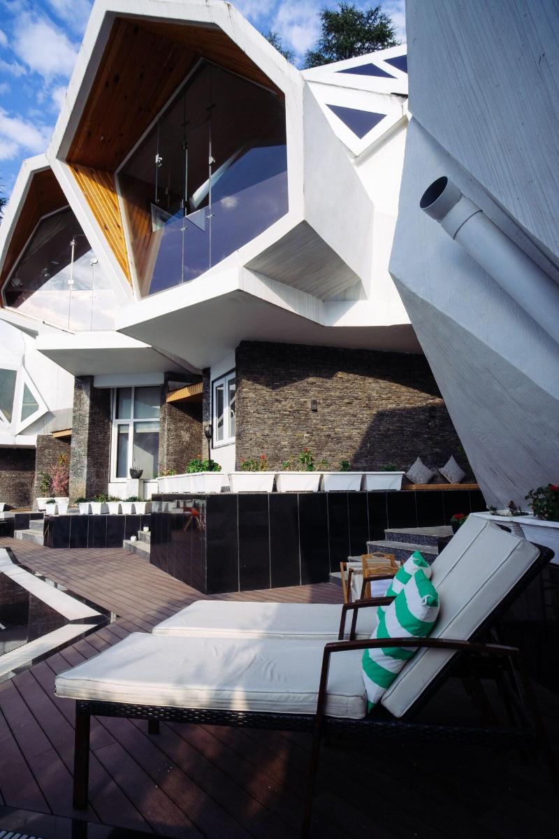 Tree Of Life Eila Art Hotel image