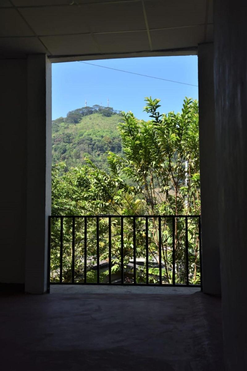 Red Lotus Holiday Resort image