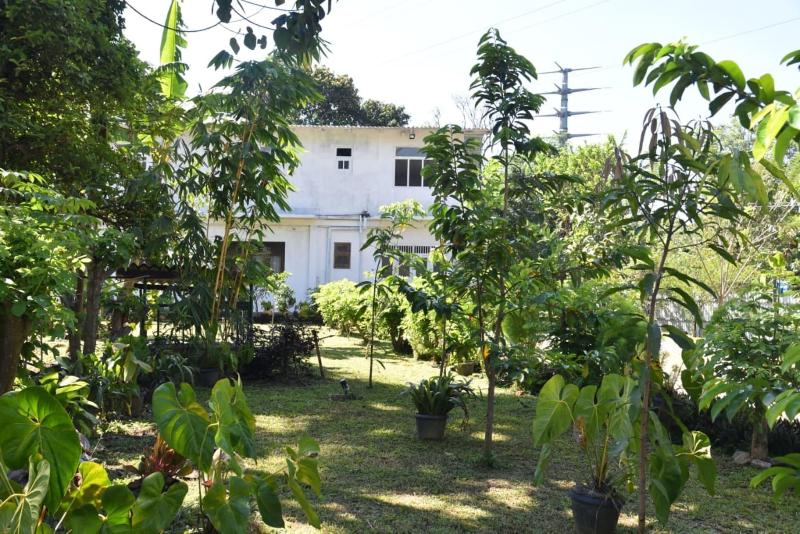 Red Lotus Holiday Resort image