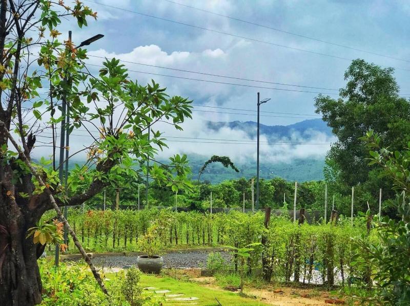 Kampot Tropical Village image