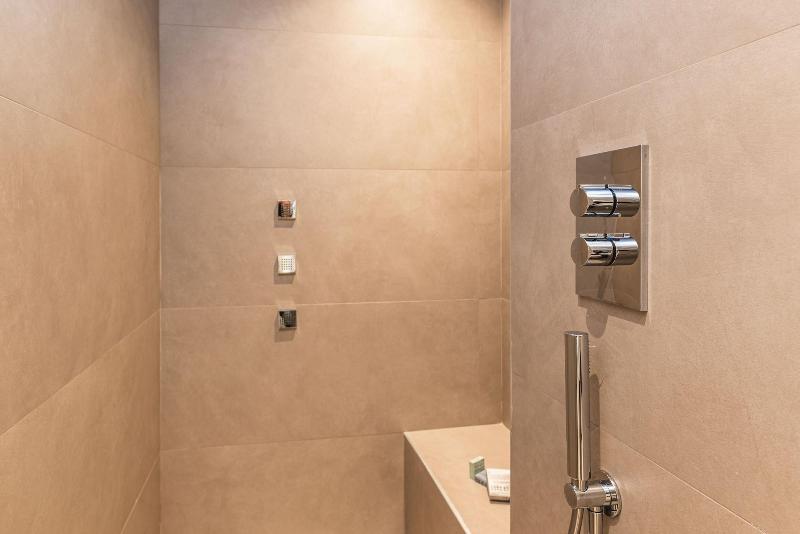 Privilegium Lazise image
