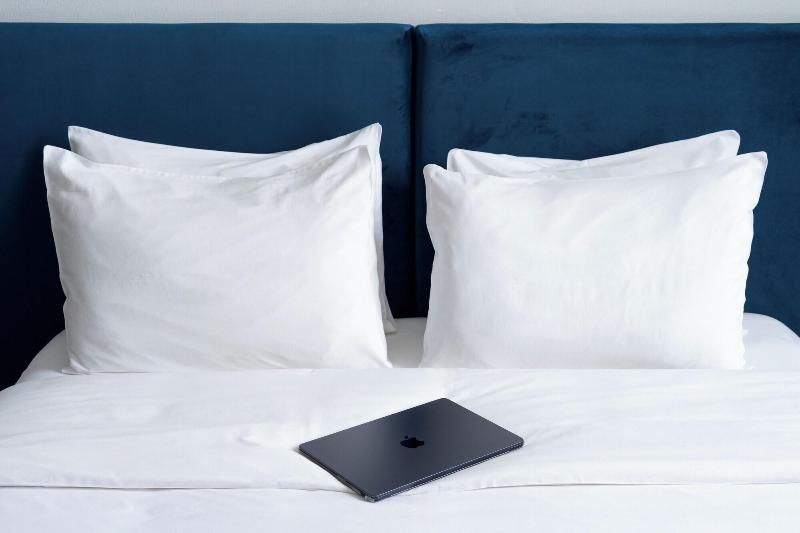 Alma Boutique Hotel image