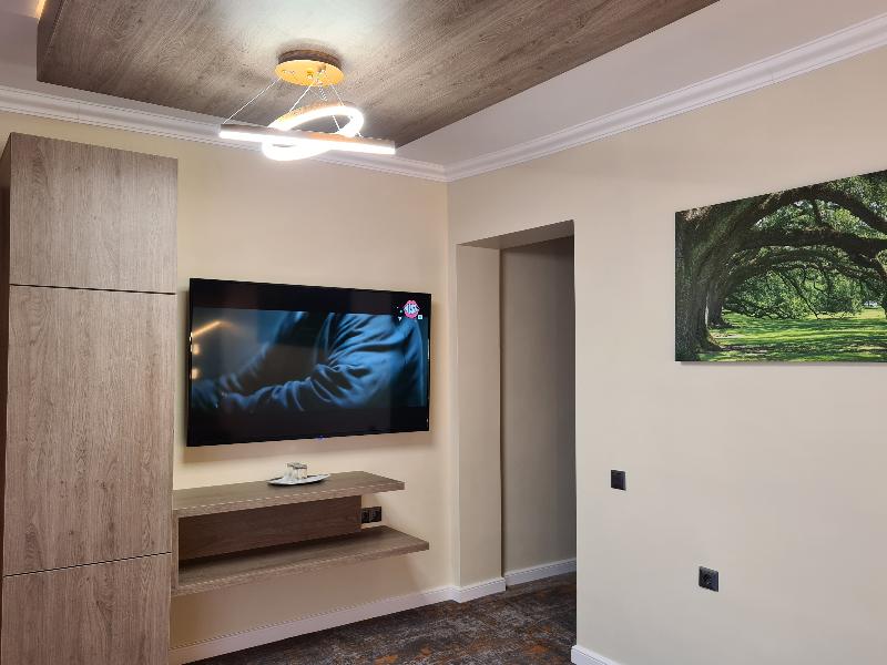 Casa Florescu image