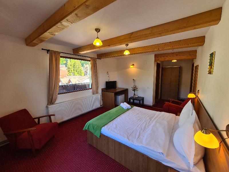 Casa Florescu image