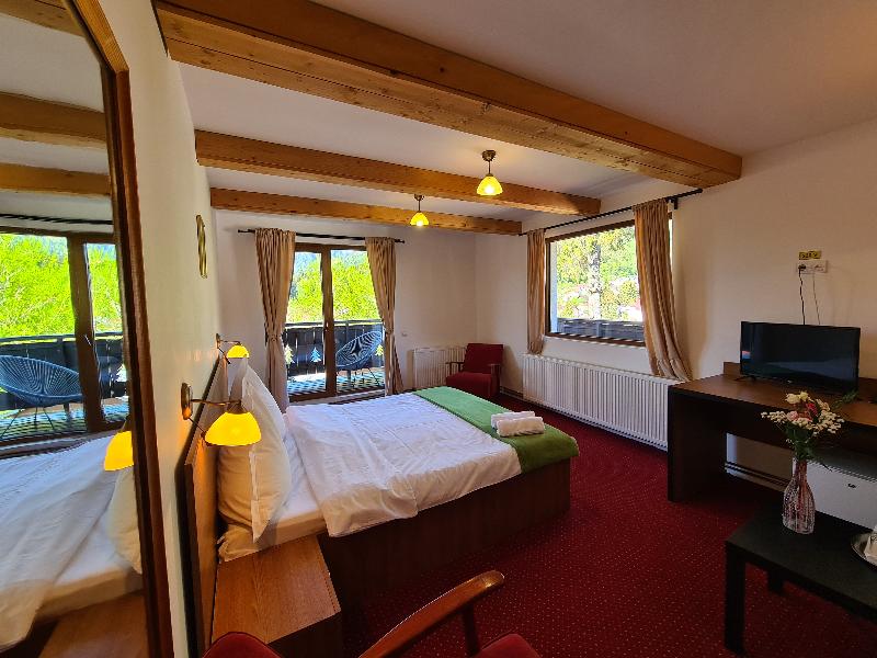 Casa Florescu image