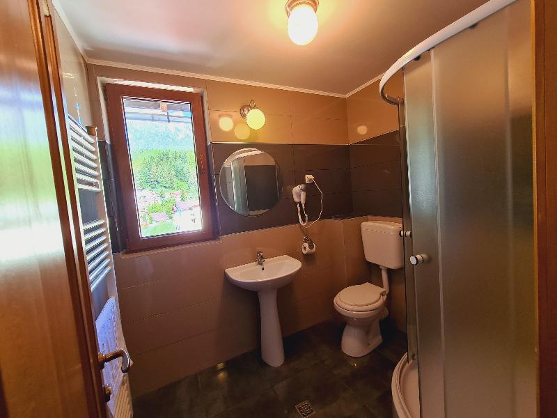Casa Florescu image