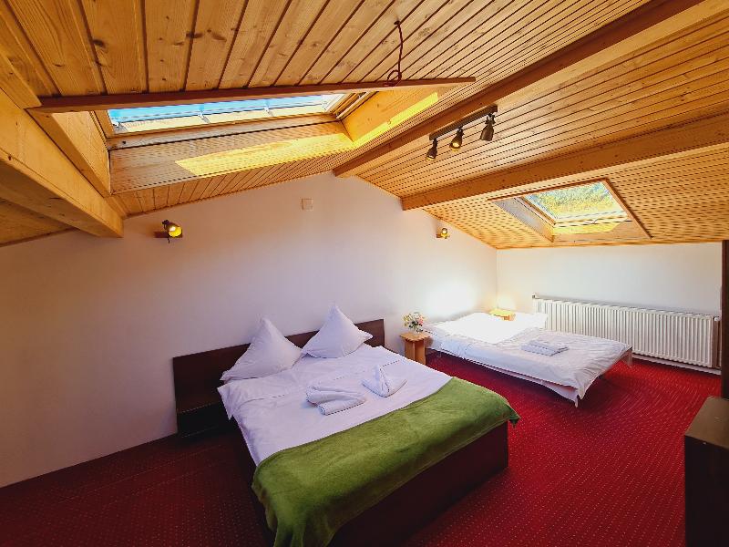 Casa Florescu image