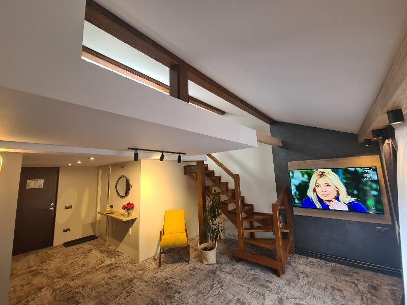 Casa Florescu image