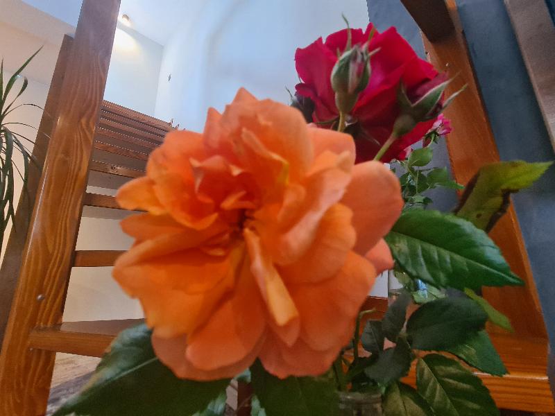 Casa Florescu image