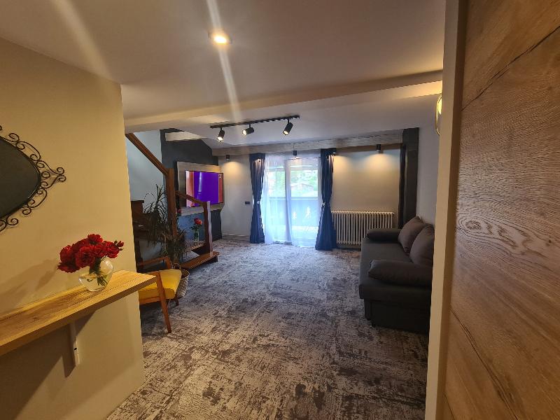Casa Florescu image