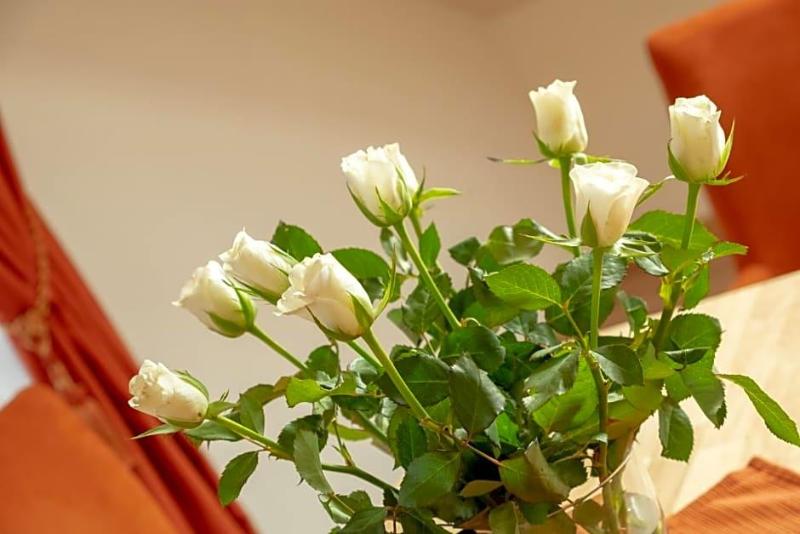Boutique Hotel Angerer image