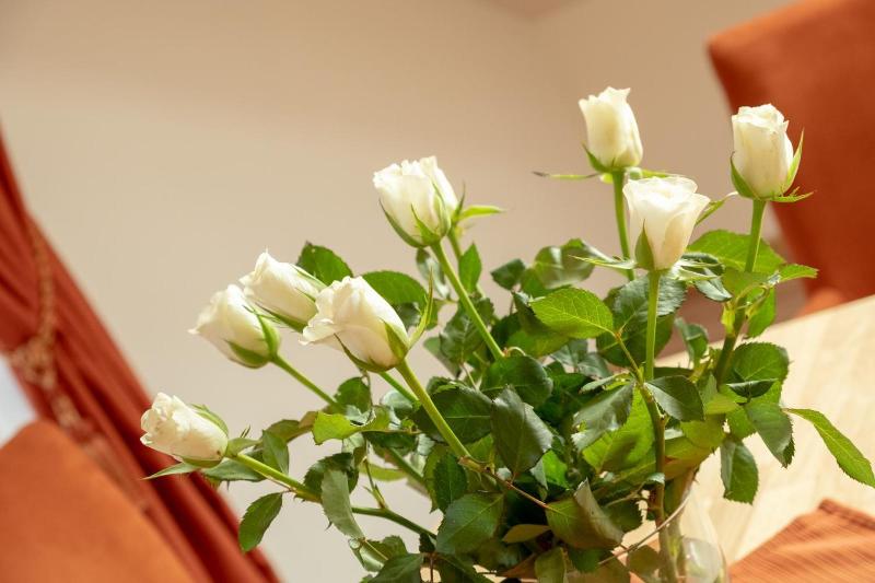 Boutique Hotel Angerer image