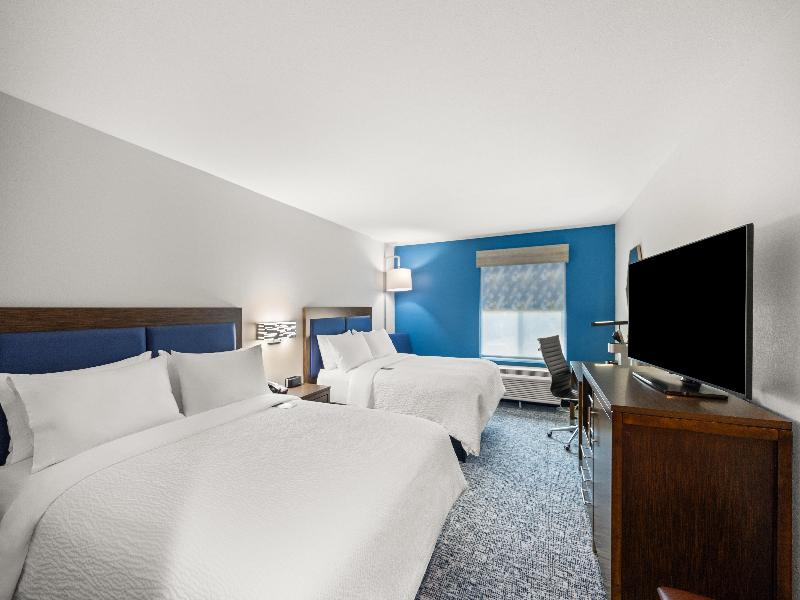 Holiday Inn Express Asheville Woodfin image