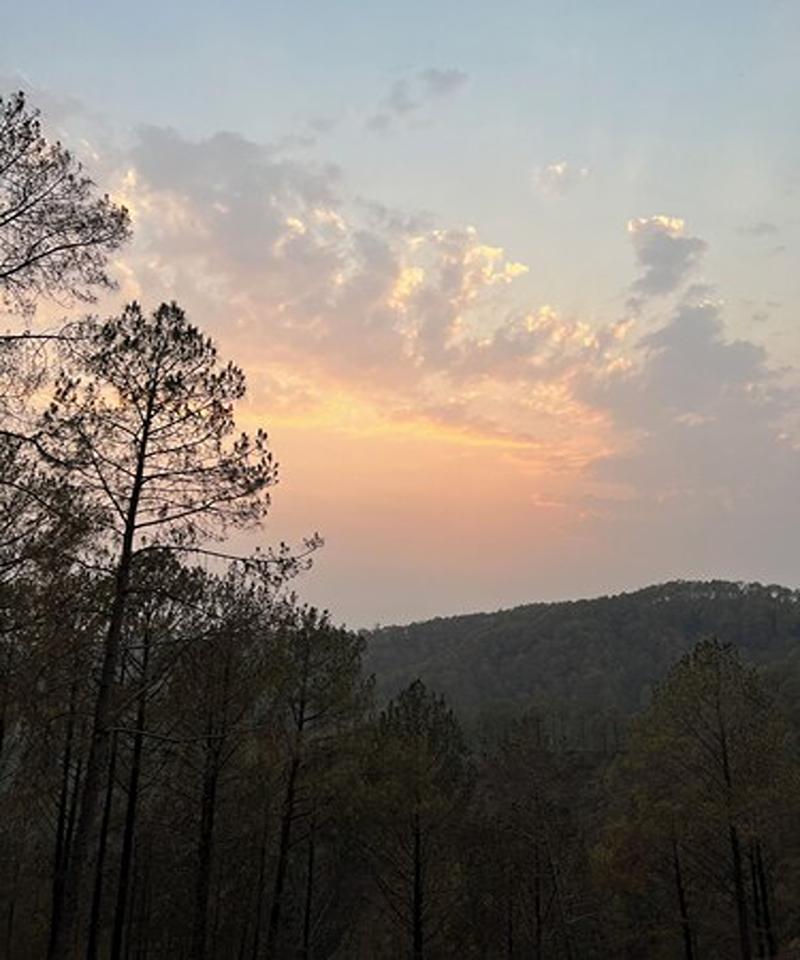 Blusalz Escapade, Lansdowne - Uttarakhand By Zuzu — photo 4