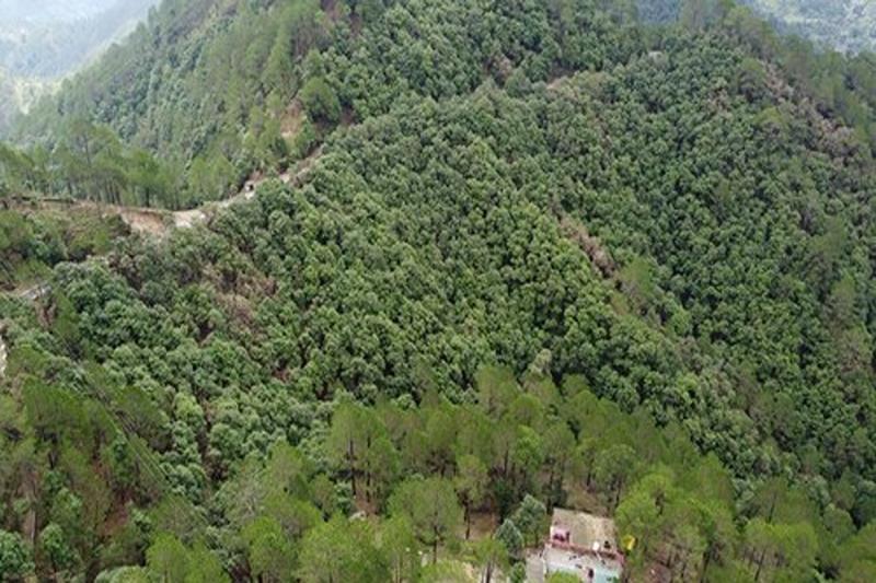 Blusalz Escapade, Lansdowne - Uttarakhand By Zuzu — photo 5