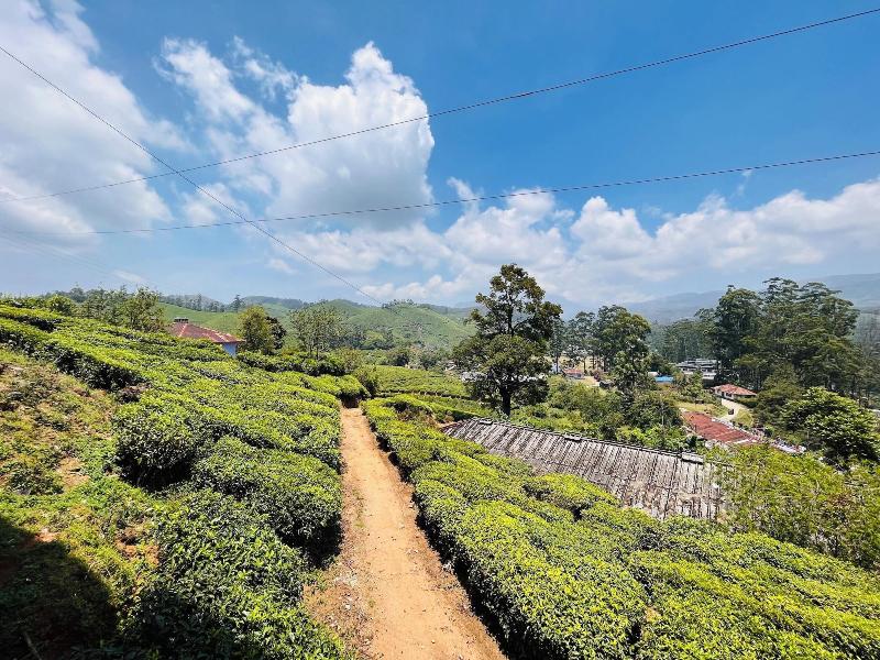 Seven Malai Residency image