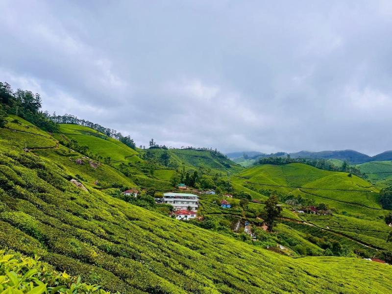 Seven Malai Residency image