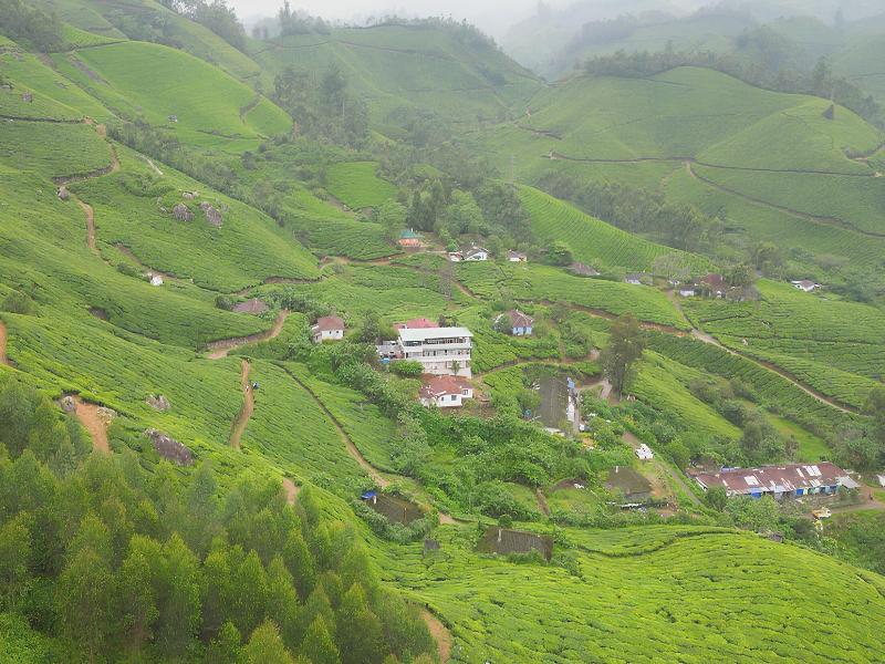 Seven Malai Residency image