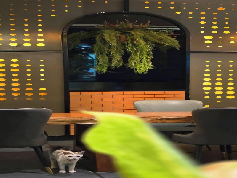 Lhc Hotel And Resort image