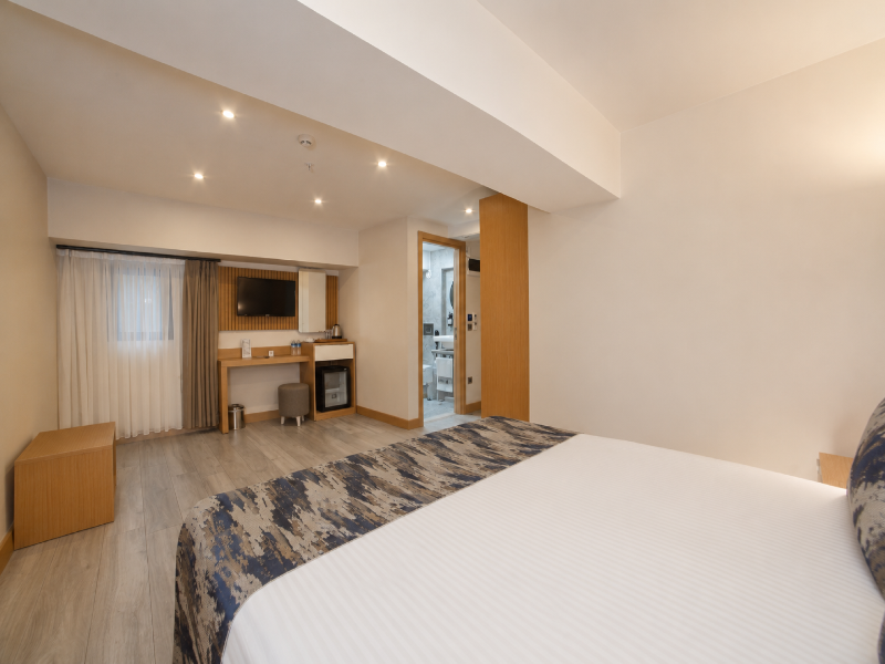 Downtown Sirkeci Hotel image