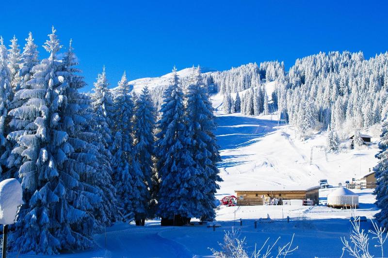 Hotel Malixerhof image