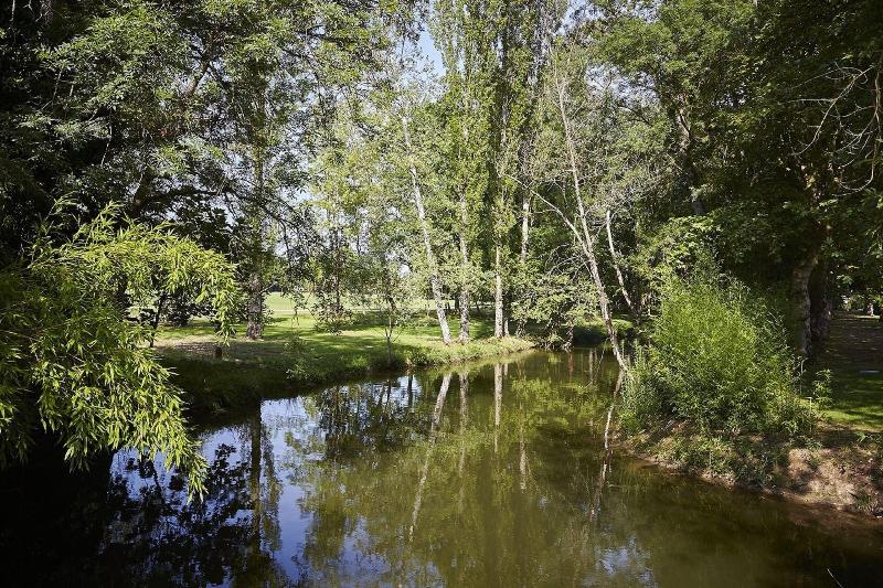 Château Le Stelsia image