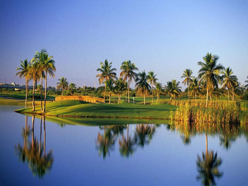 Hilton Ponce Golf & Casino Resort image