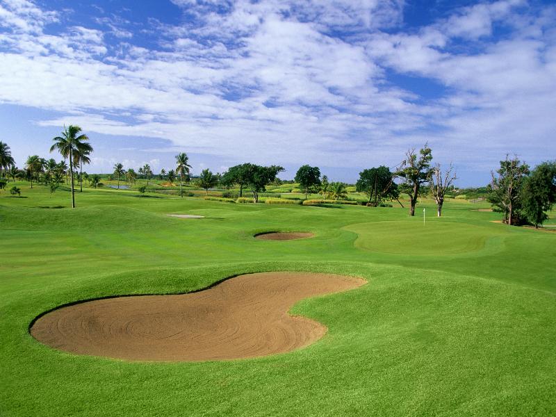 Hilton Ponce Golf & Casino Resort image