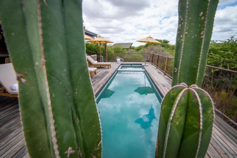 Viatura Omún San Miguel De Allende image