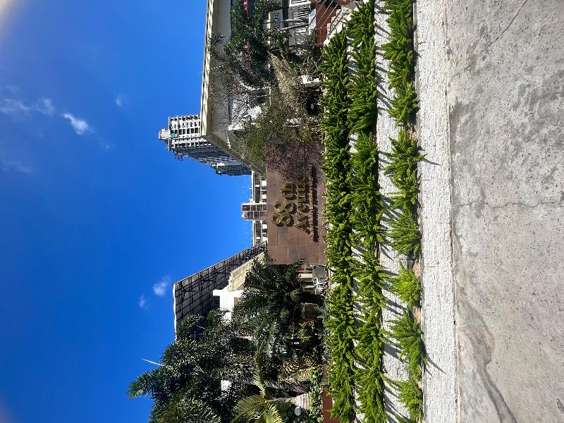 88th Avenue image