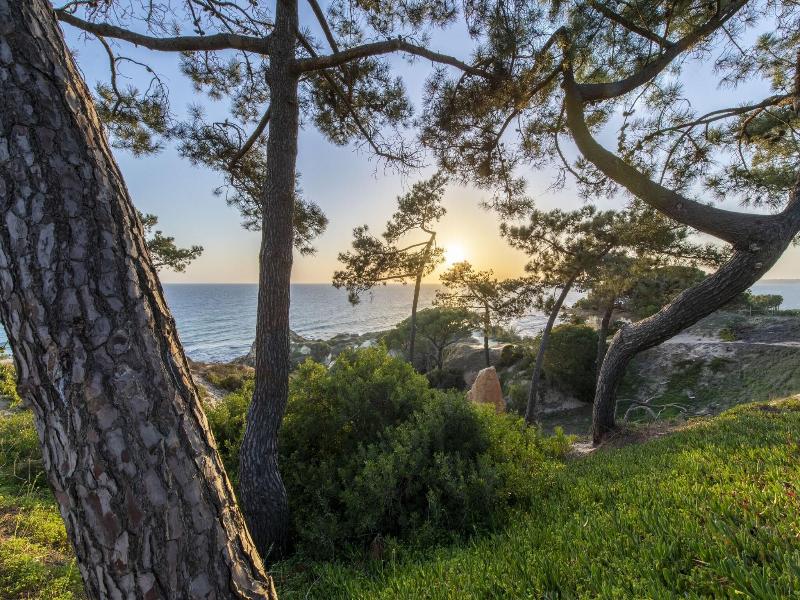 W Algarve Hotel image