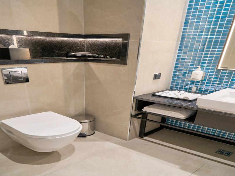 Holiday Inn Tashkent City image