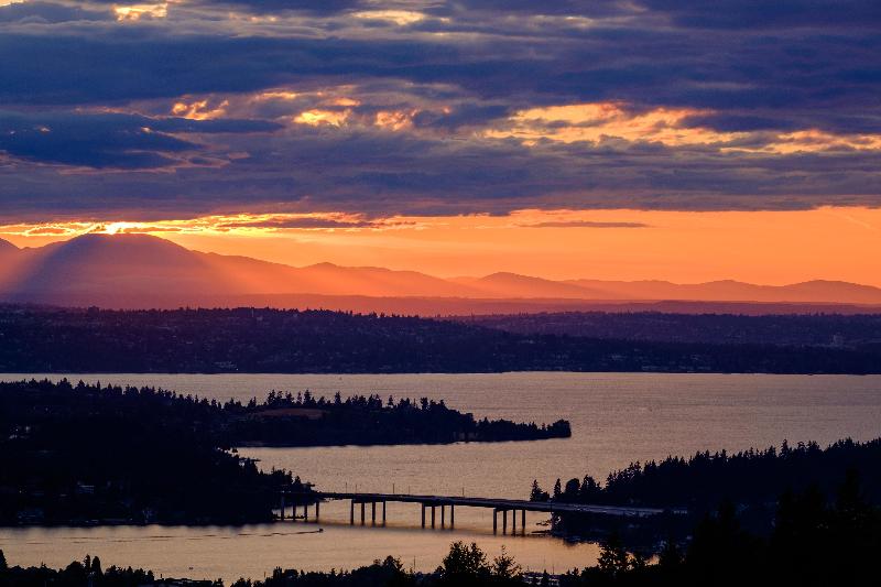 Intercontinental Hotels Seattle Bellevue By IHG image