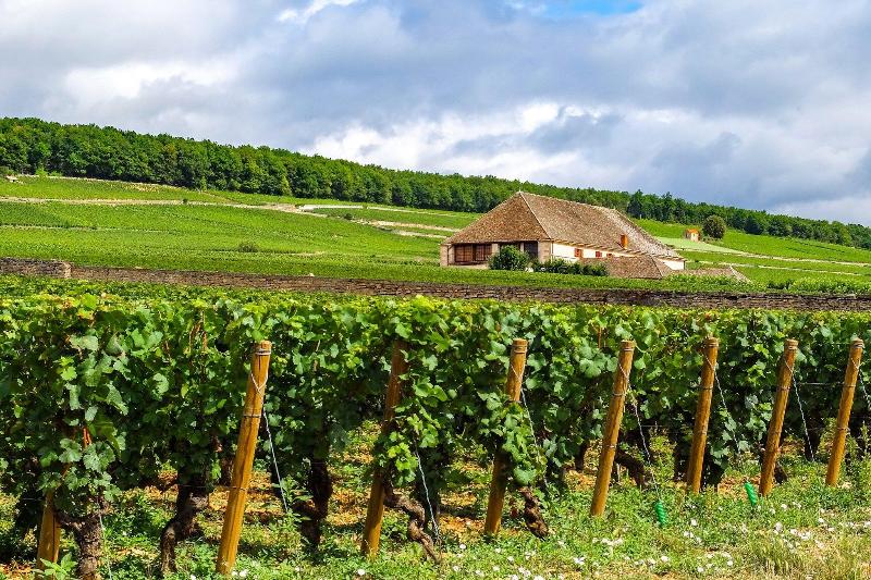 Voco Beaune image