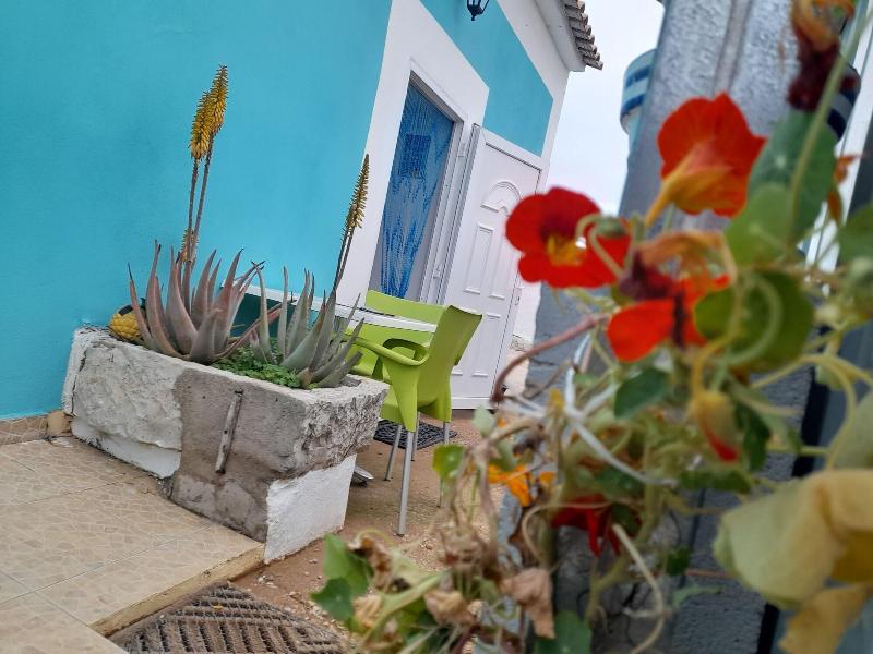 Tropicana Holiday Apartments image