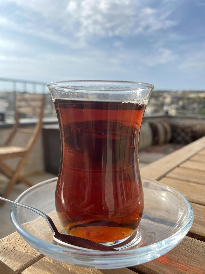 Pashahan Hotel image