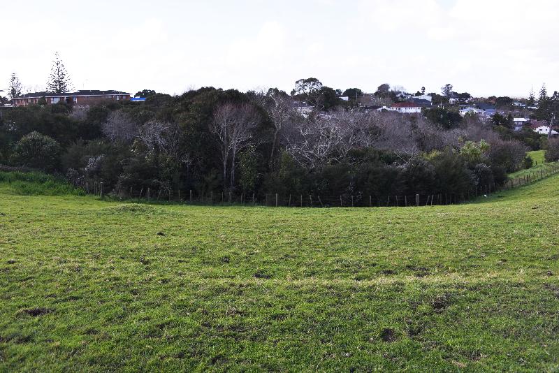Regal Residency image