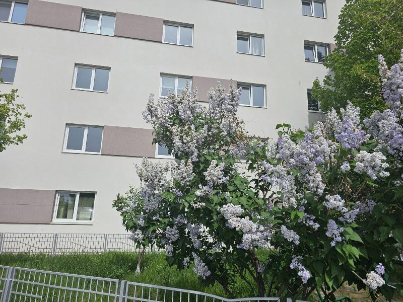 Zack Apartments