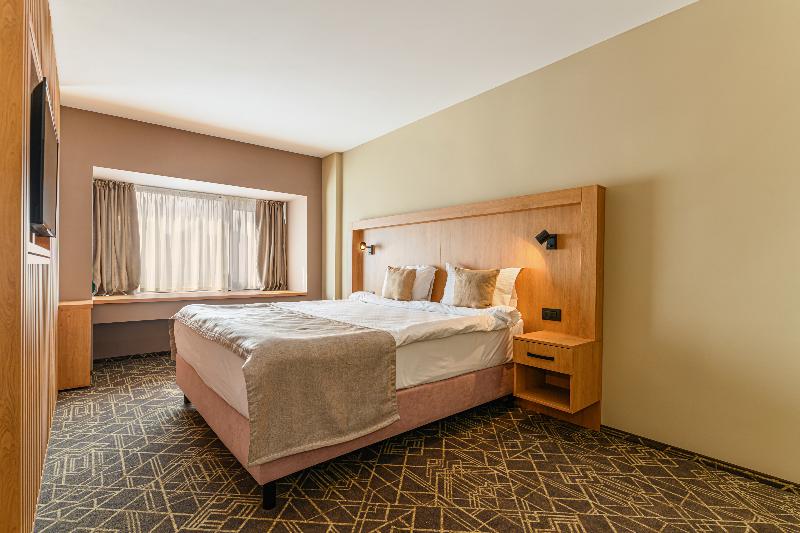 Hotel Central Pascani image